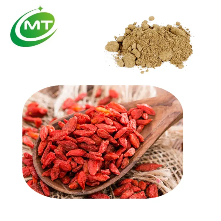 Campione gratuito certificato biologico sfuso miglior prezzo puro Superfood bacche di Goji in polvere Lycium barbarum in polvere