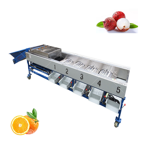 Macchina di smistamento a rulli a sfera classificatore di frutta e verdura di grande capacità - Product Image 1