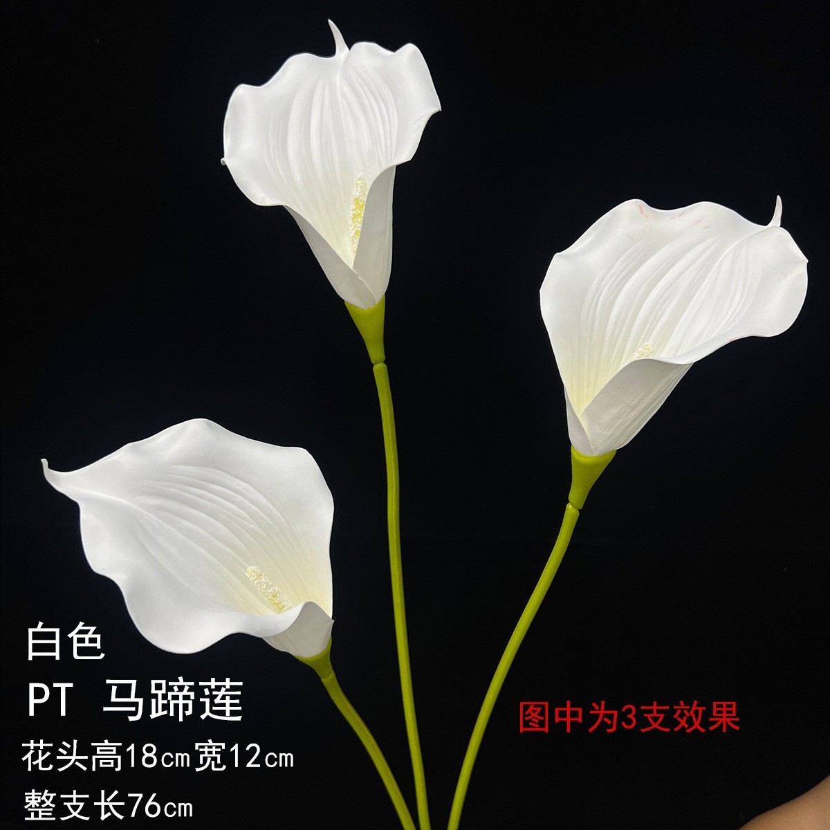 Pt arum blanc