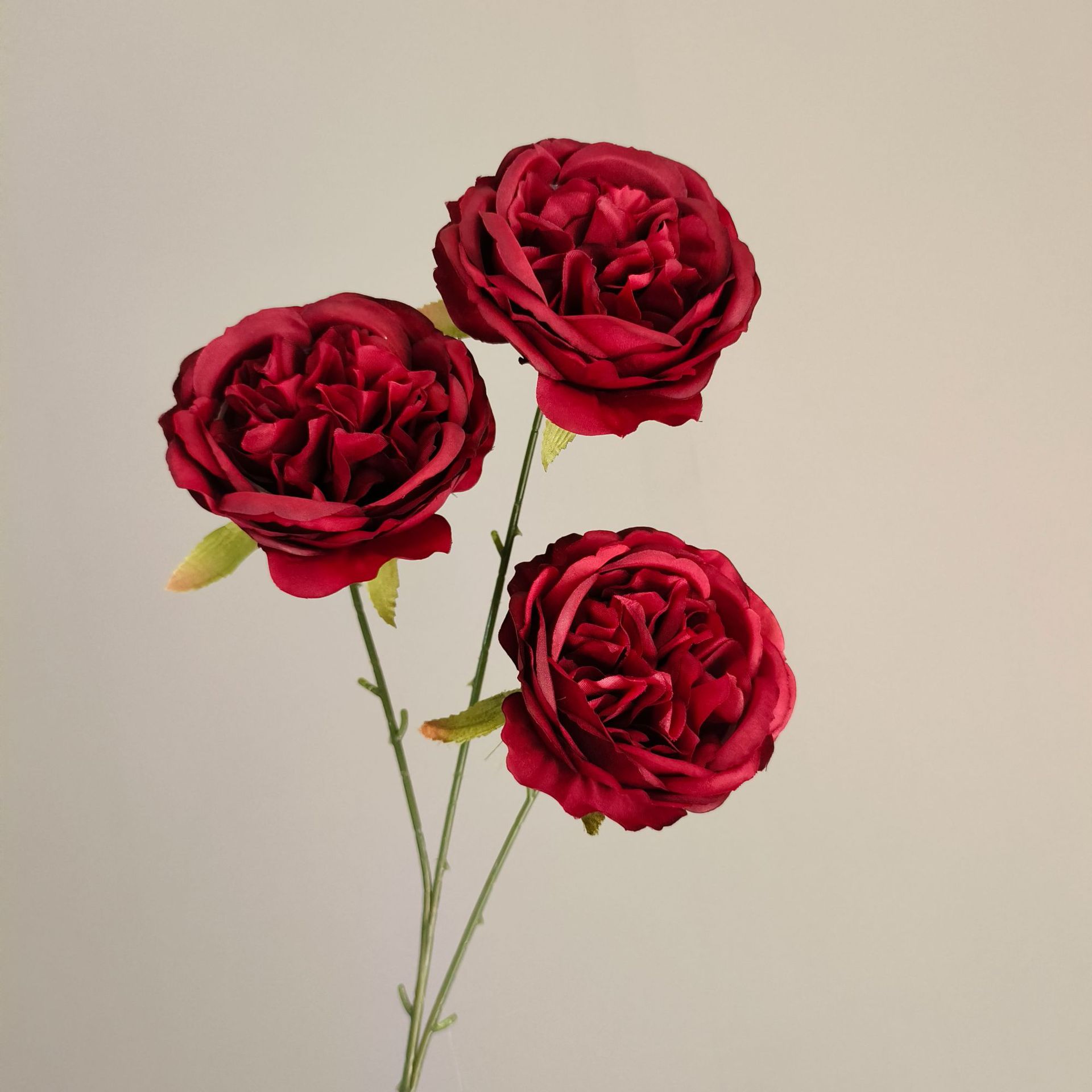 3 roses Austin-rouge vin -66cm