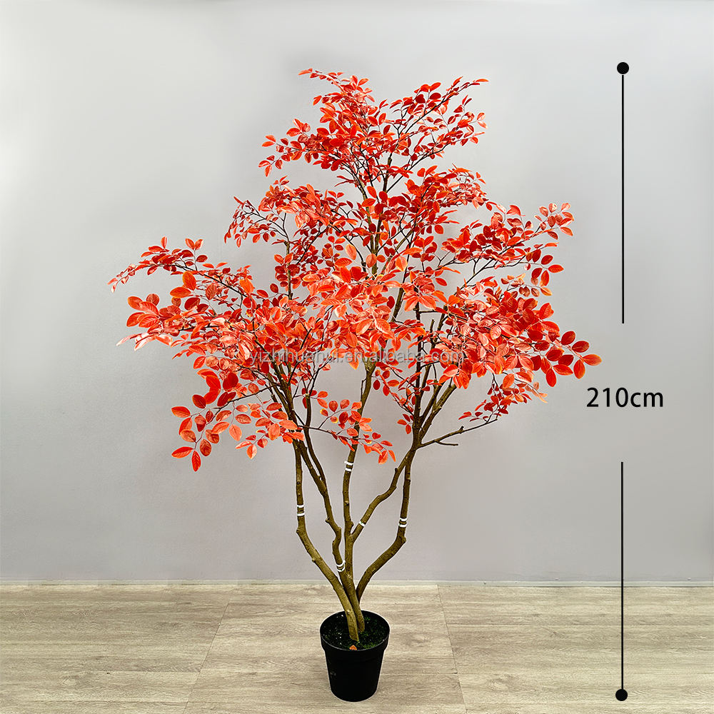 Bois de rose rouge-210cm