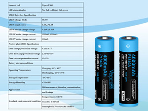 高端3.6v锂离子锂离子电池，带C型Usb端口 - Product Image 3