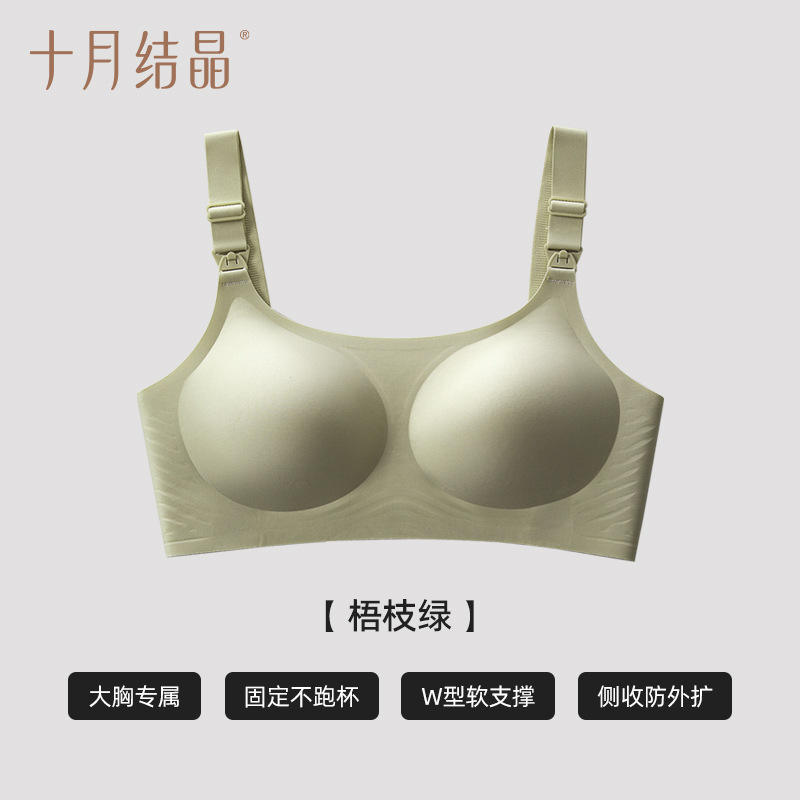 Branches de Wutong vertes