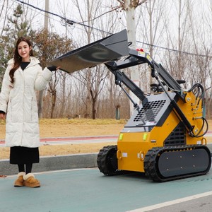 Mini Skid Track Steer One Machine With Multiple <strong>Functions</strong> Small Size and Convenient for Sale - Product Image 2