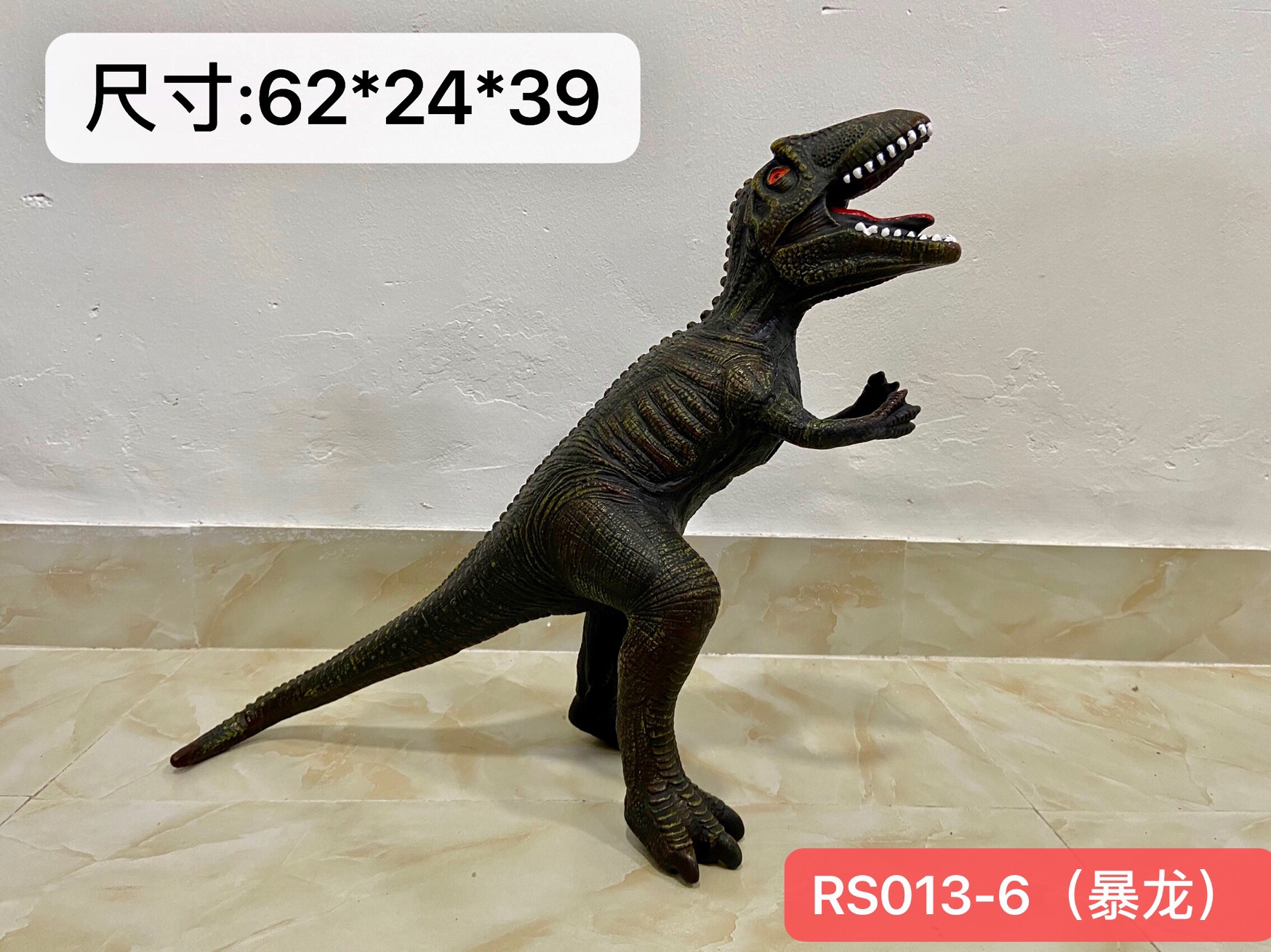 RS013-6
