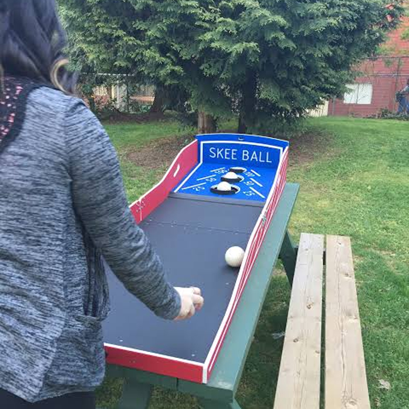 Roll Ball Carnival Game