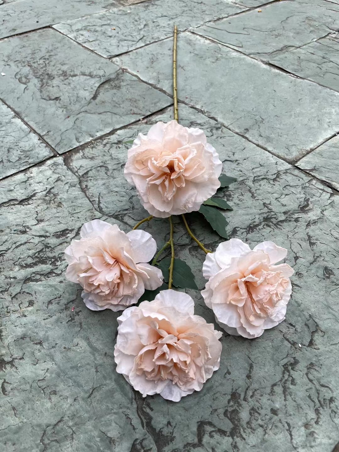 Champagne rosé Austin