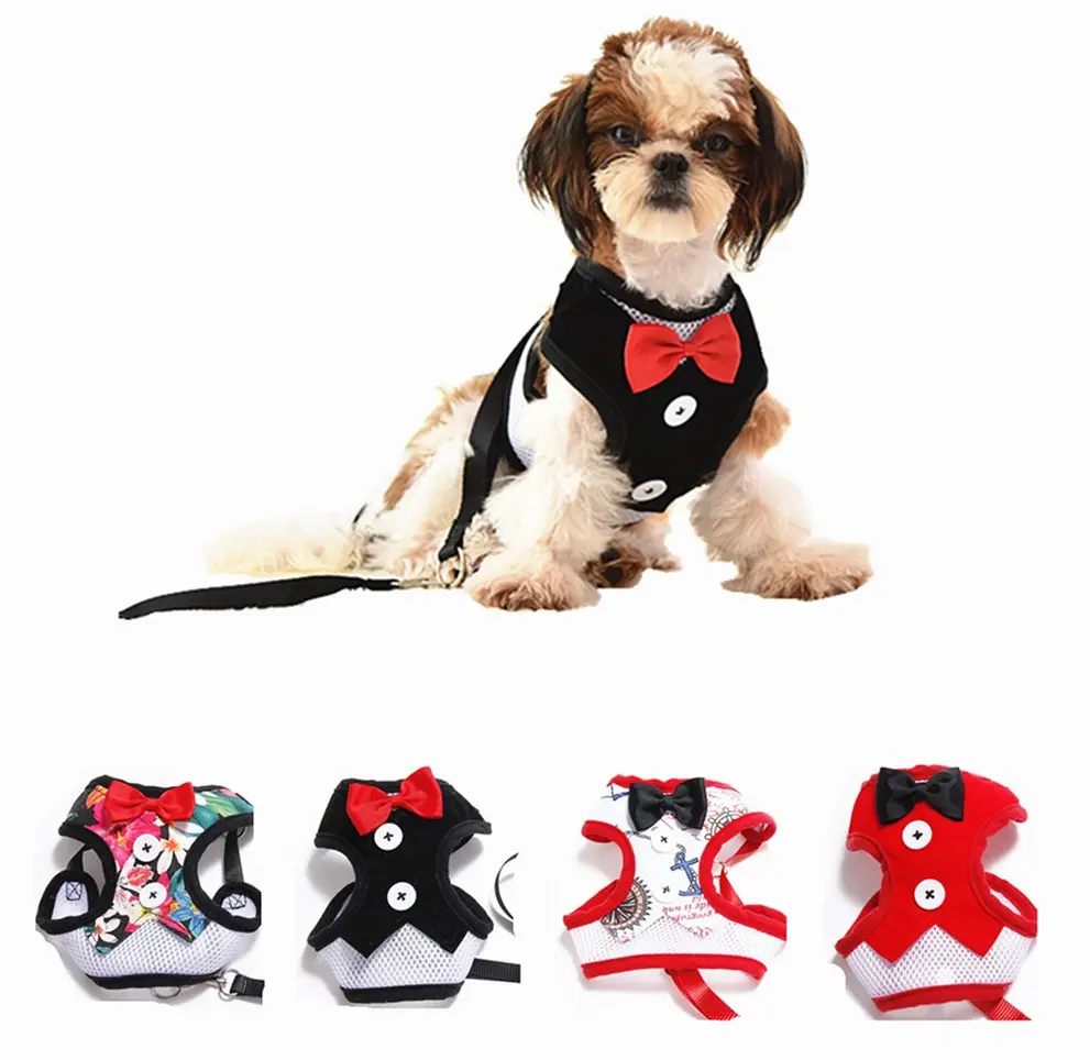 Gilet per cani con imbracatura per cani da compagnia di moda personalizzato più venduto di Amaz