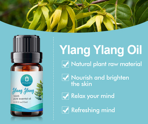 High Quality Natural Essential <strong>Oil</strong> Pure Flower Steam Distill <strong>Ylang</strong> <strong>Ylang</strong> <strong>Oil</strong> 1liter <strong>Price</strong>
