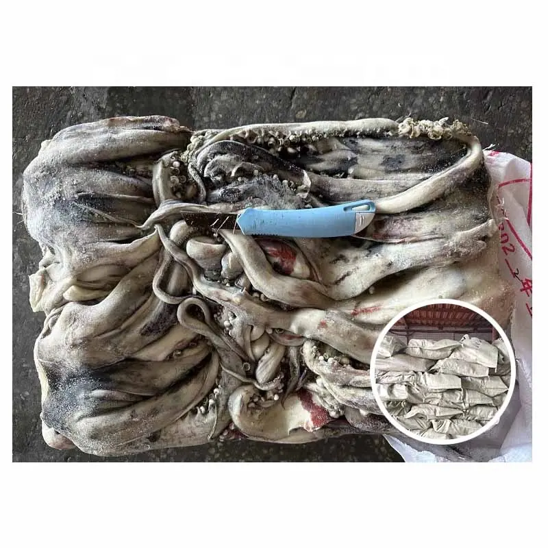 Whole Round Seafrozen Calamari Squid Tentacles Woven Bag Frozen Giant Squid Head For Thailand