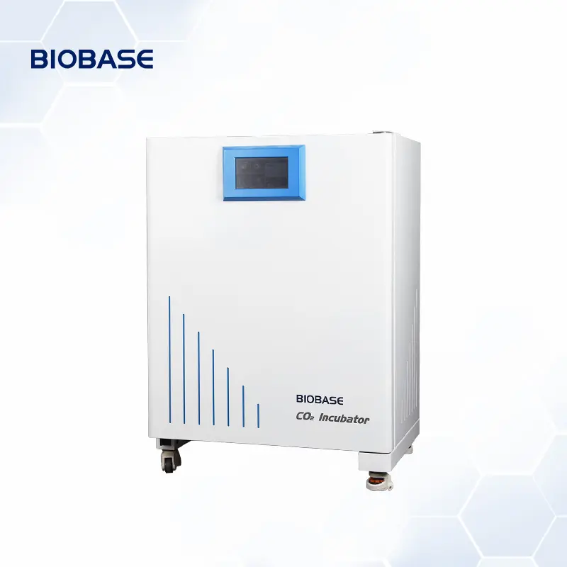 Incubatore BIOBASE CO2 50L laboratorio commerciale incubatore di microbiologia medica per laboratorio