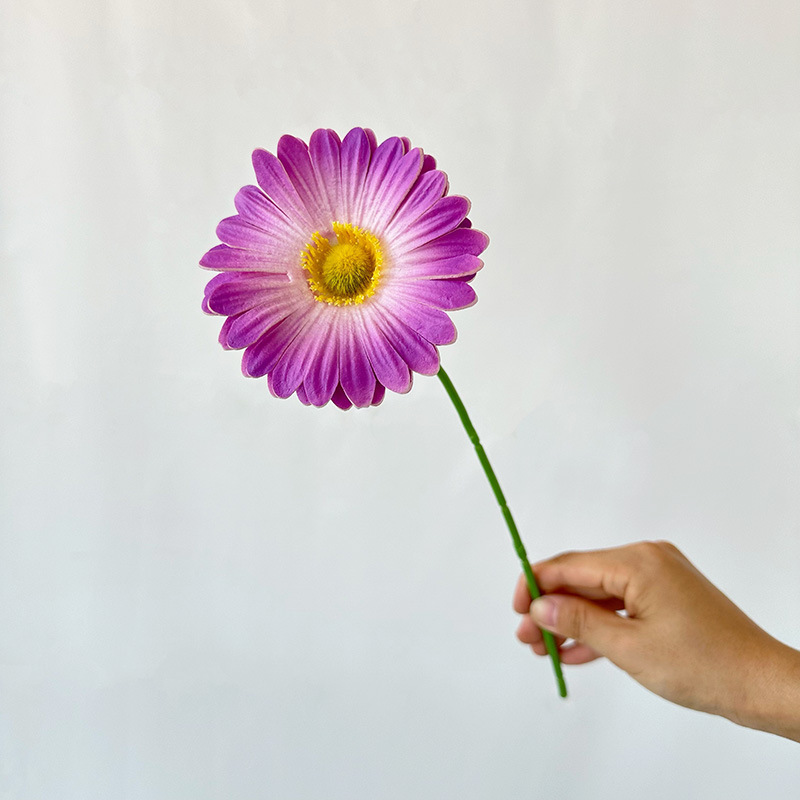 Chrysanthème PU simple 9