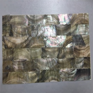 Doğal siyah inciler kabuk inci ham kabukları kakma - Product Image 2