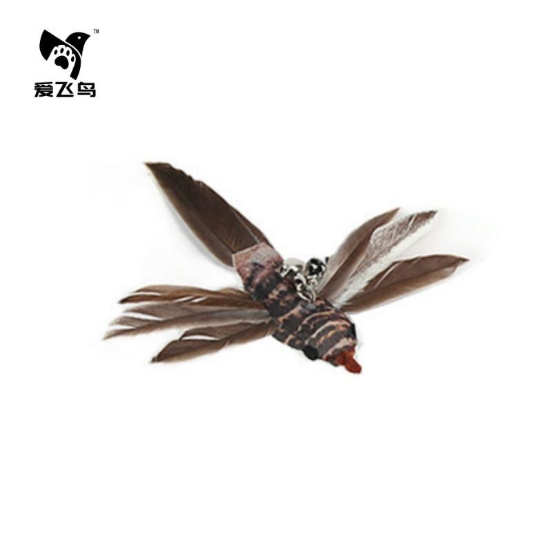 Tête de rechange pour oiseau Jingwei