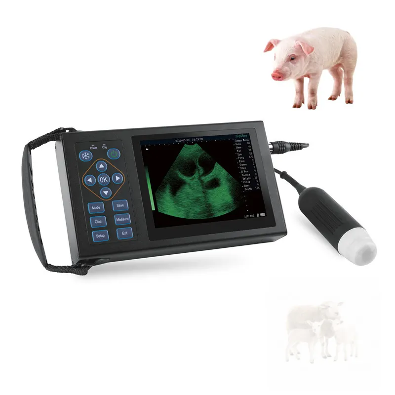 Instrumento de diagnóstico de ultrasonido veterinario barato portátil de mano fácil escaneo Animal veterinario máquina de escáner de ultrasonido