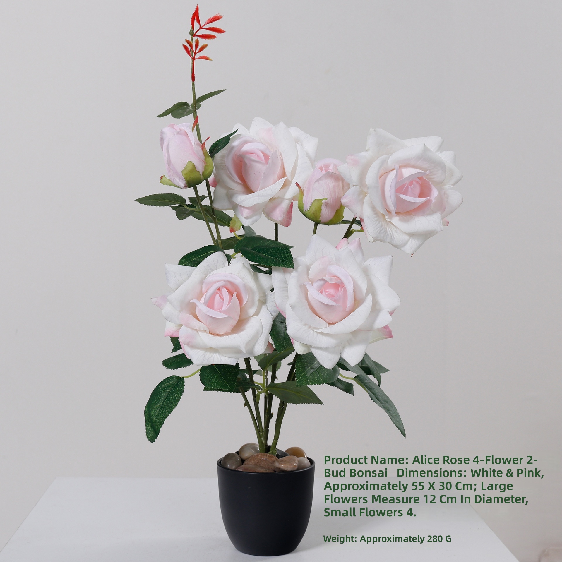 Blanc Rose Sans Pierre