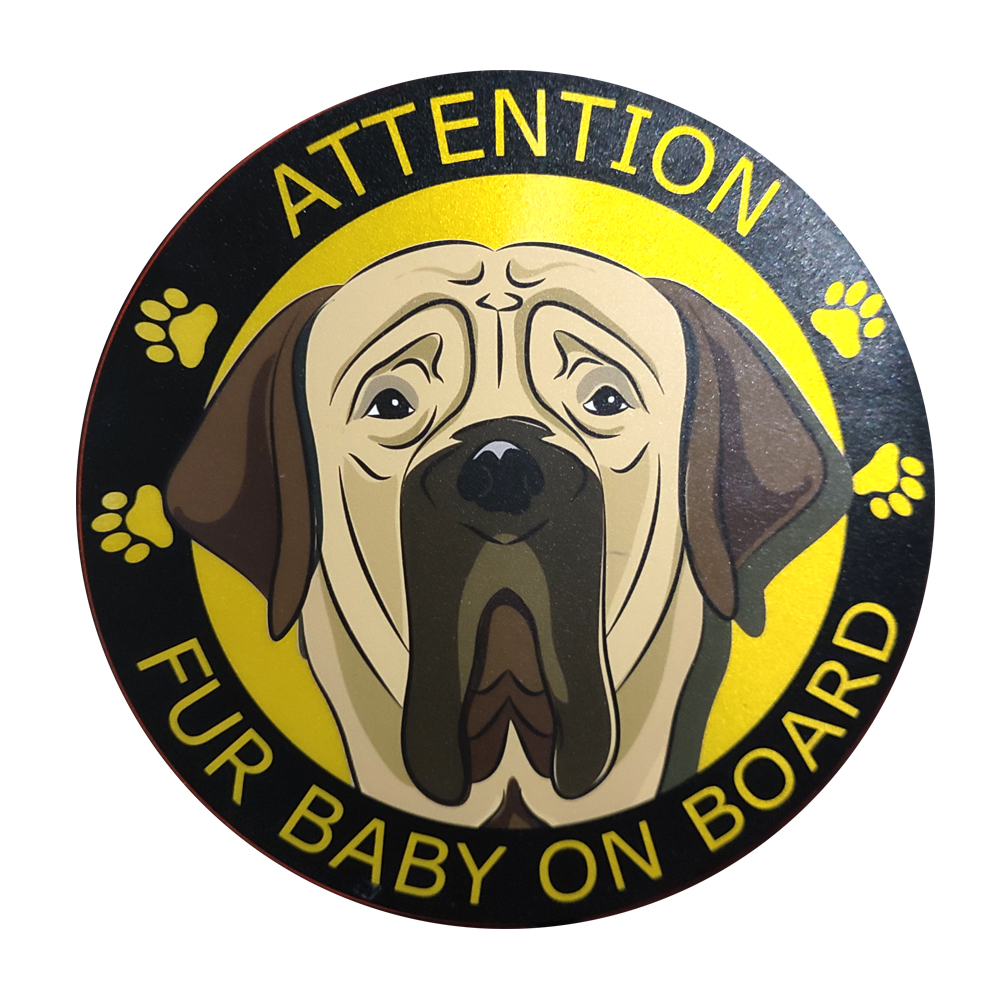 Perro 09