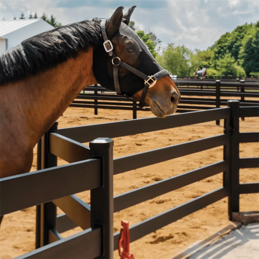 Cerca do cavalo da resistência à ferrugem, 4 rails, placa de aço, fenda do cavalo