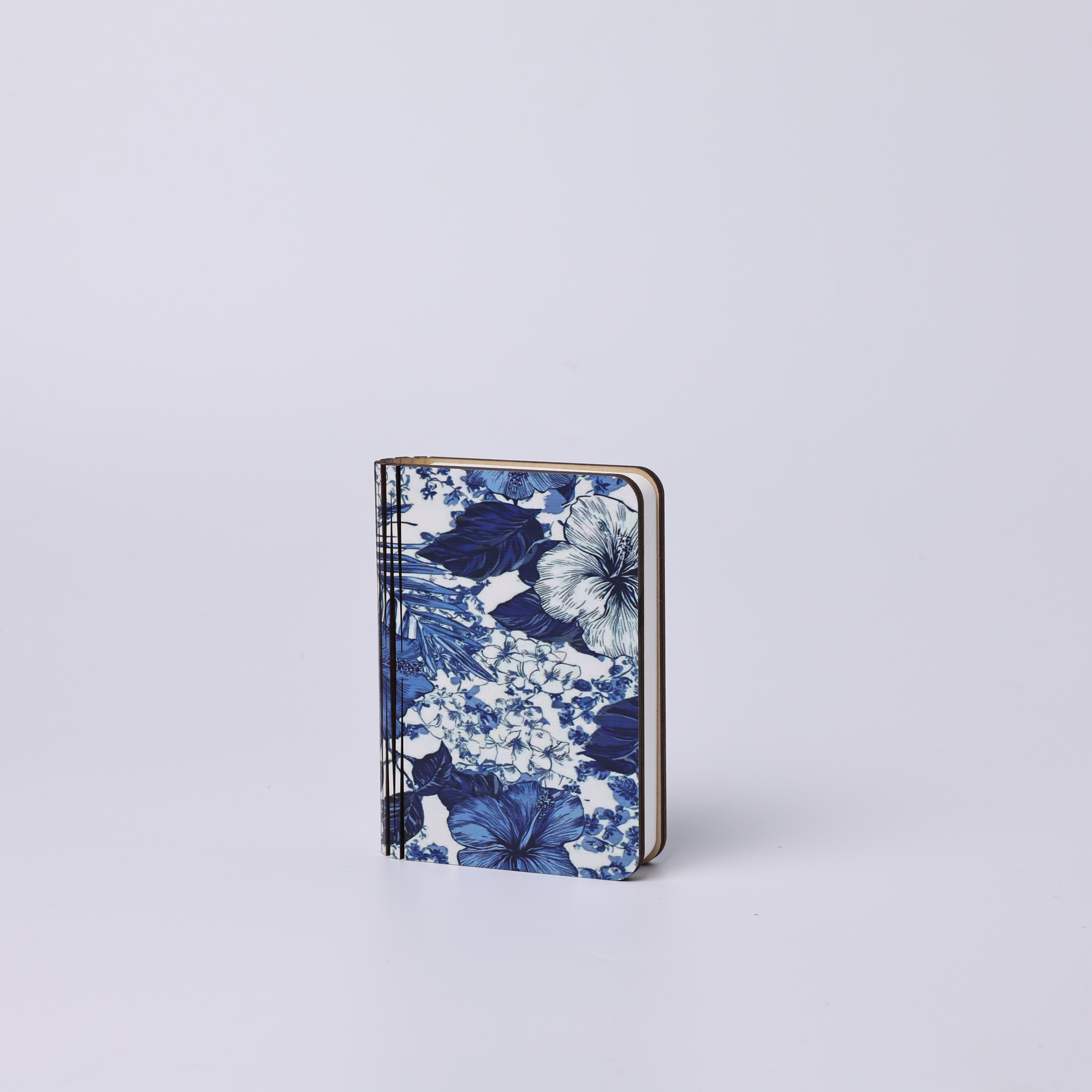Blue-book lamp