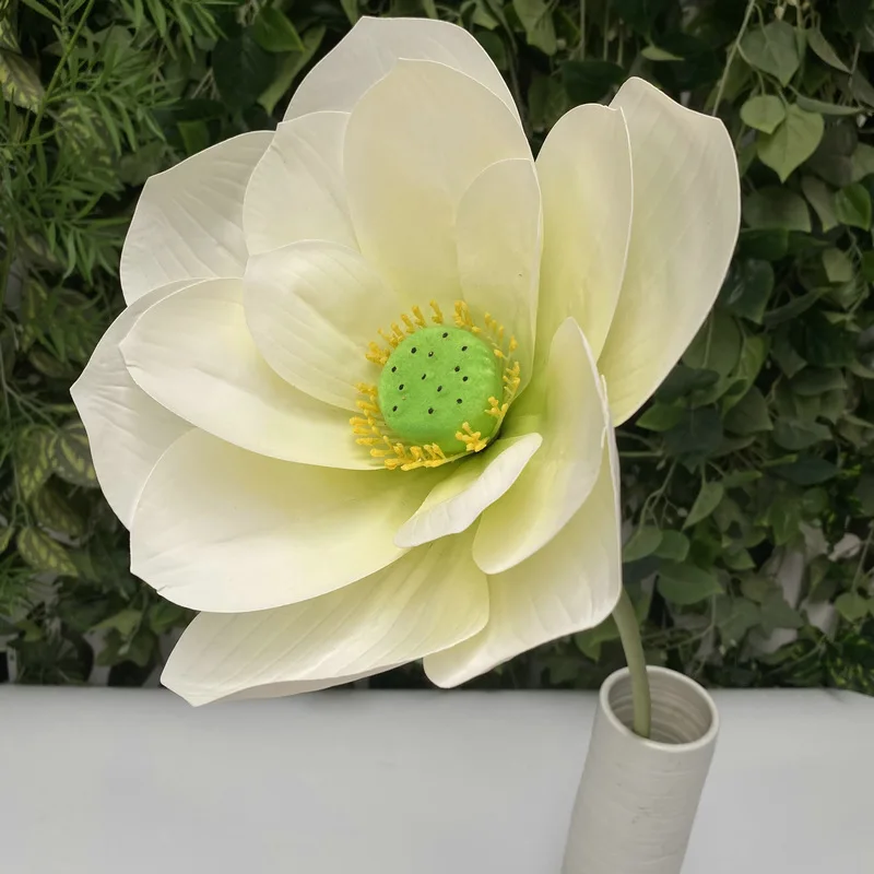 2# Large-flowered milky white