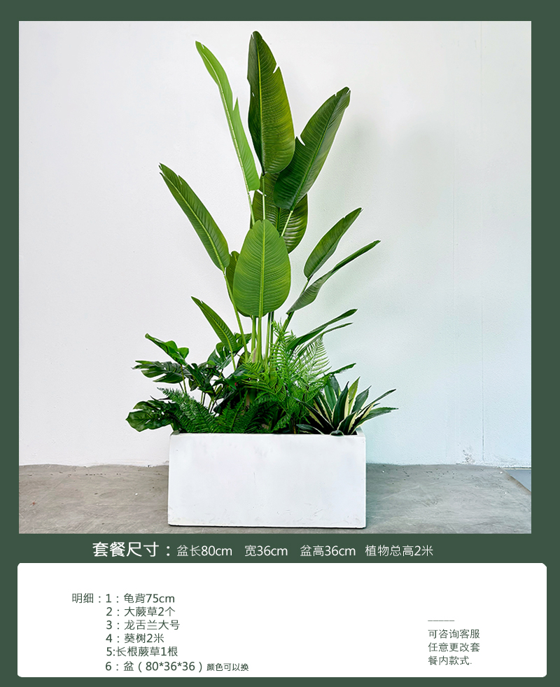 Green-traveler banana basin landscape combo 5