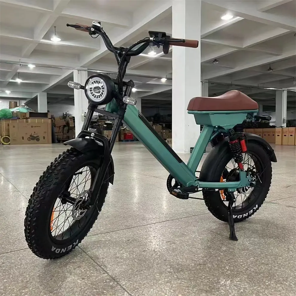 Мощный Электрический велосипед для взрослых, 750 Вт, 20 дюймов, толстые шины, внедорожный Электрический горный велосипед, 750 Вт, электрический велосипед