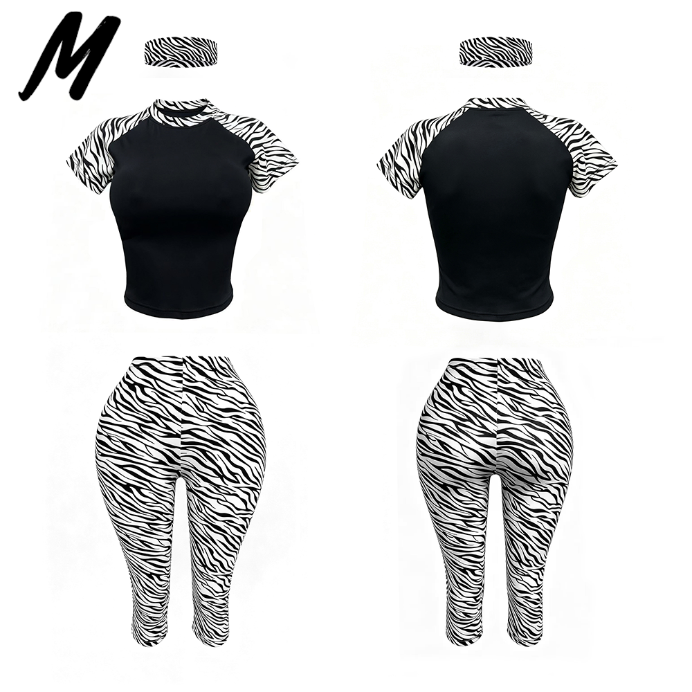Zebra nera 5