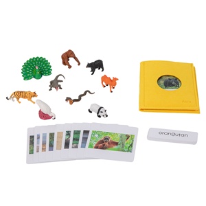 Adena Montessori hayvan eşleştirme seti asya yaban hayatı tema coğrafya Montessori malzemeleri öğrenme diğer eğitici oyuncaklar - Product Image 1