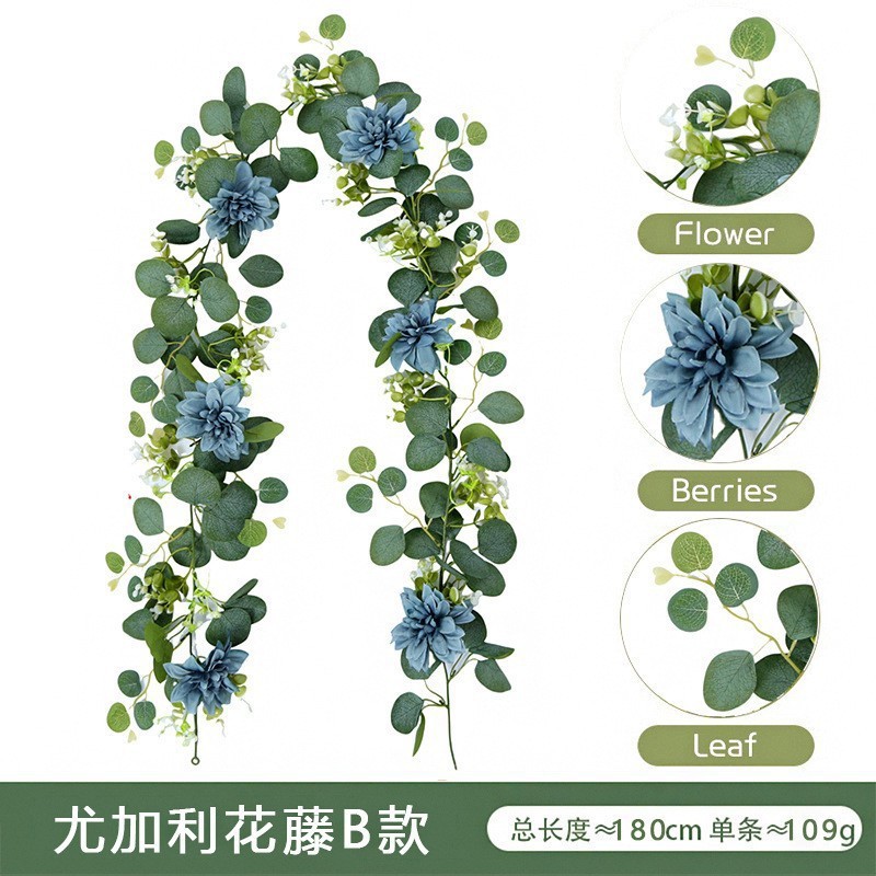 Vigne d'eucalyptus B