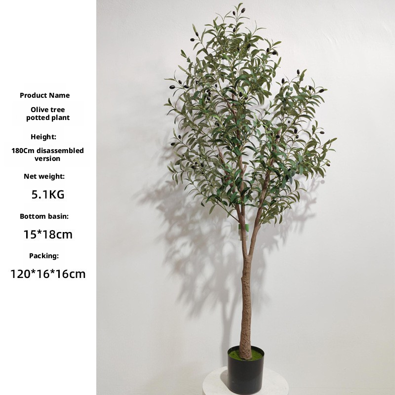 180cm Olive Tree (Detachable Model)