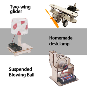 Đồ chơi giáo dục bằng gỗ bán buôn 10 trong 1, bộ thí nghiệm điện tự làm, đồ chơi xếp hình khoa học STEM cho trẻ em - Product Image 5