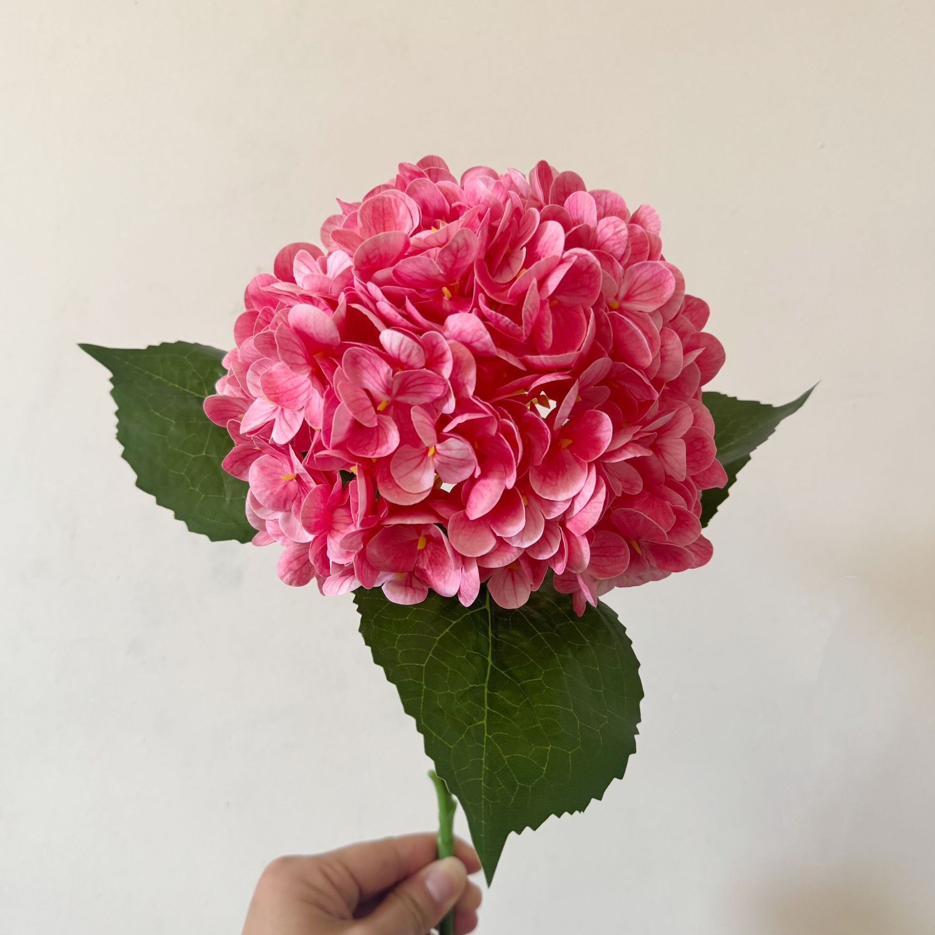 Deep Pink
