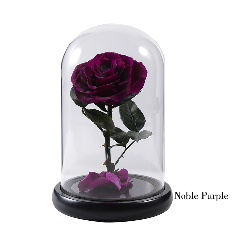 06 noble purple