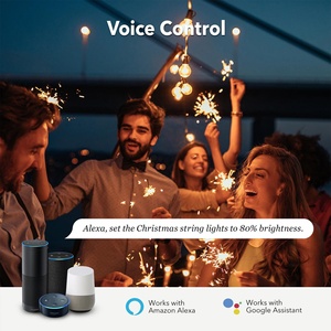 Linsheng Waterproof US Dimmer Plug <span class=keywords><strong>WiFi</strong></span> APP telecomando per esterno Dimmer per luci di stringa all'aperto - Product Image 3