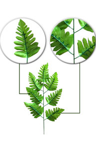 ใบเปอร์เซียประดิษฐ์ใบเขตร้อนสำหรับตกแต่งบ้าน - Product Image 4