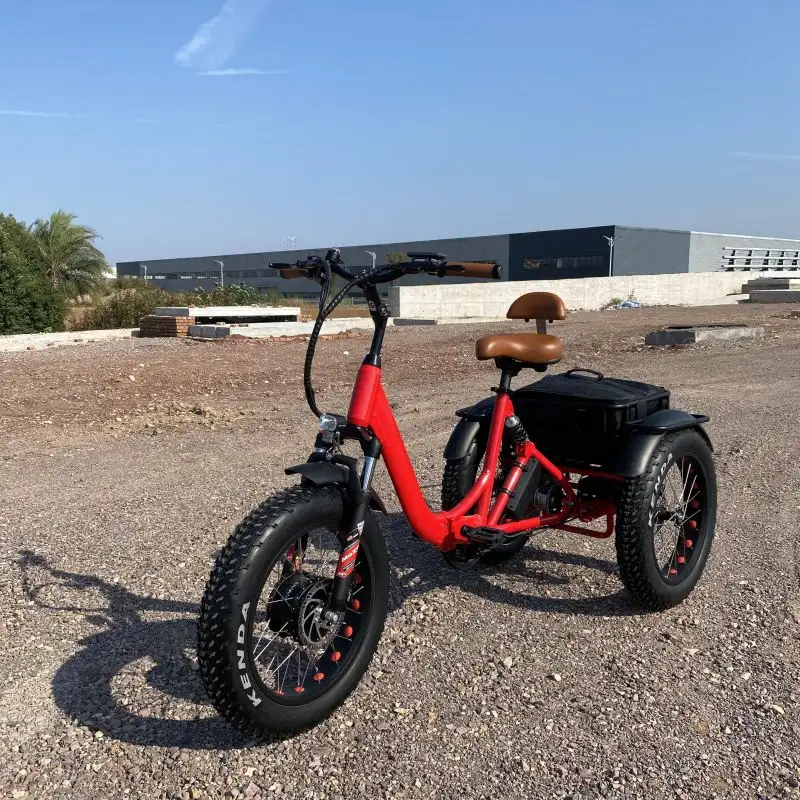 Nuovo triciclo per adulti 20 pollici 3 ruote basso passo-attraverso telaio in alluminio cesto Cargo più colori bici elettrica