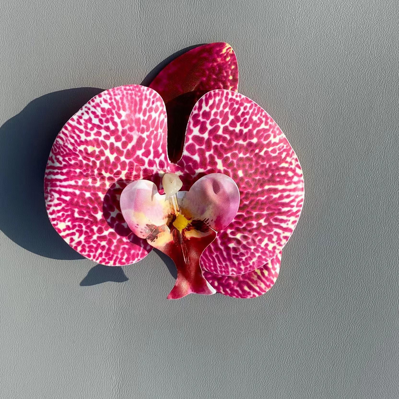 Seleccione Rosa Phalaenopsis orquídeas, película (9,6 cm)