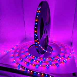 Programmabile 12v WS2815 60 Pixel HA CONDOTTO LA Luce di Striscia - Product Image 6