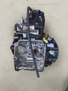 300cc xe gắn máy động cơ 250cc bộ phận 250cc 125cc 150cc bajaj boxer 110cc 1000cc 4 Xi Lanh V Twin 500cc 100cc cho ba bánh - Product Image 3