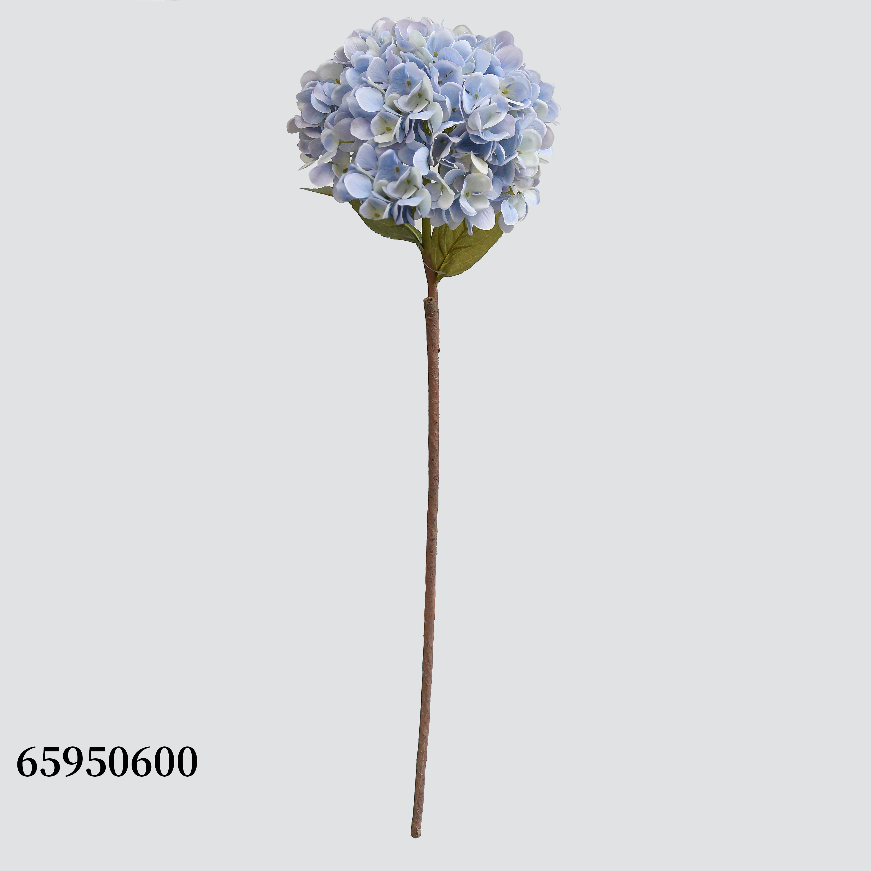 Blue600