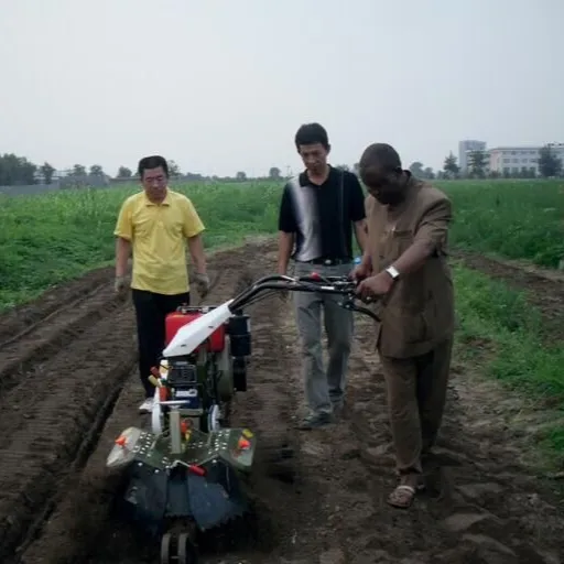 Coltivador de solo verde, multifuncional pequena agrícola gestão pastoral cultivador de solo verde cebola