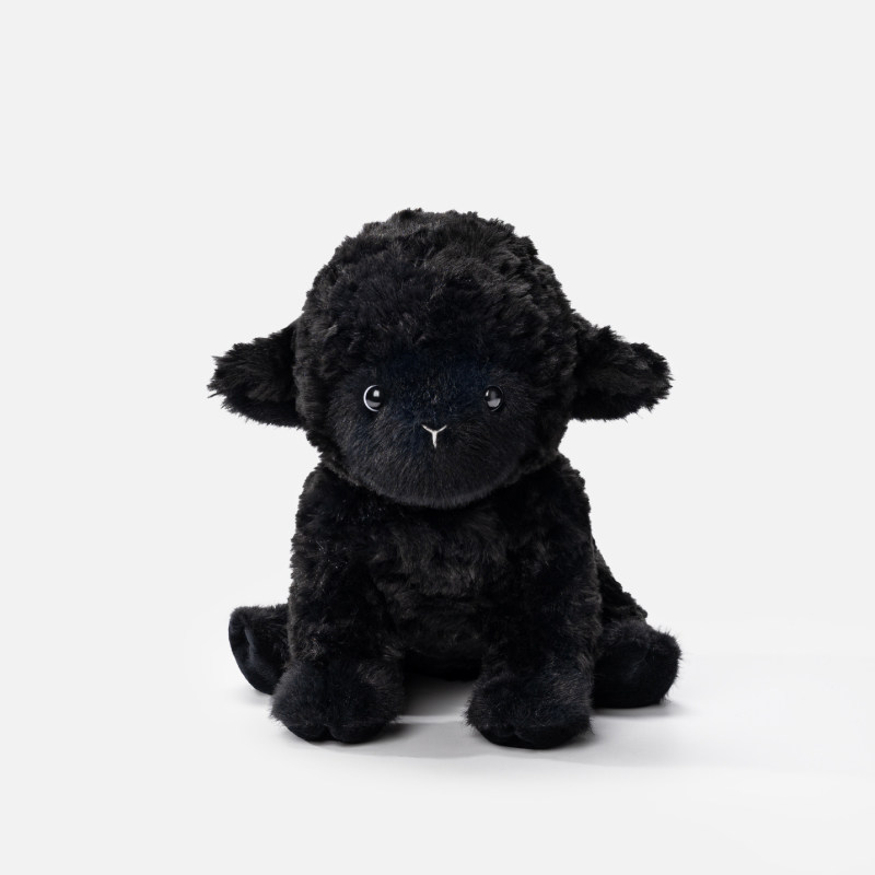 Black lamb
