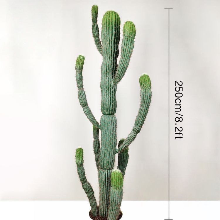 250 cm/8,2 pies