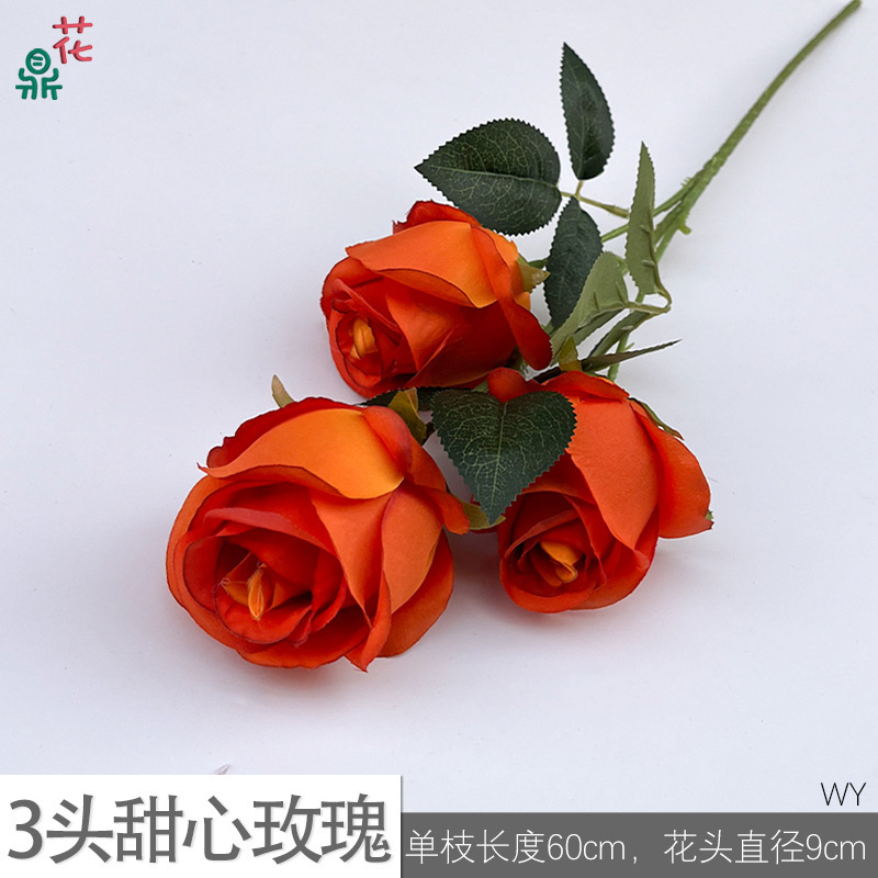 3 roses chérie WY Orange