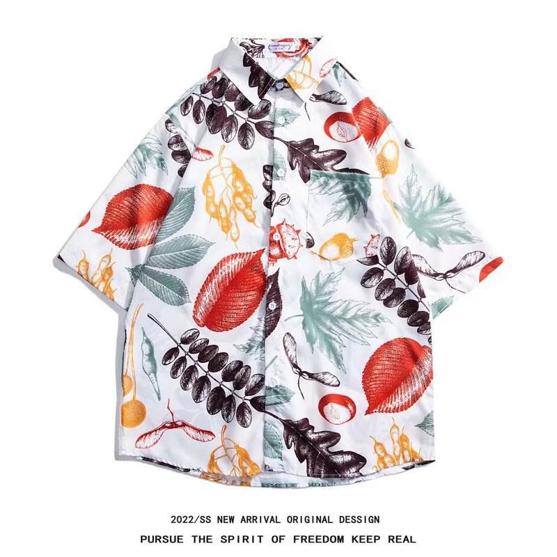 3305 สีขาว