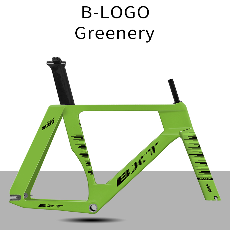 BXT Greenery green-B