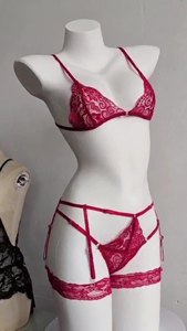 Seksi dantel Push up jartiyer kemer iç çamaşırı seti kadınlar için şeffaf sütyen ve külot 2 parça Set S--XXXL 2025 kadın iç çamaşırı