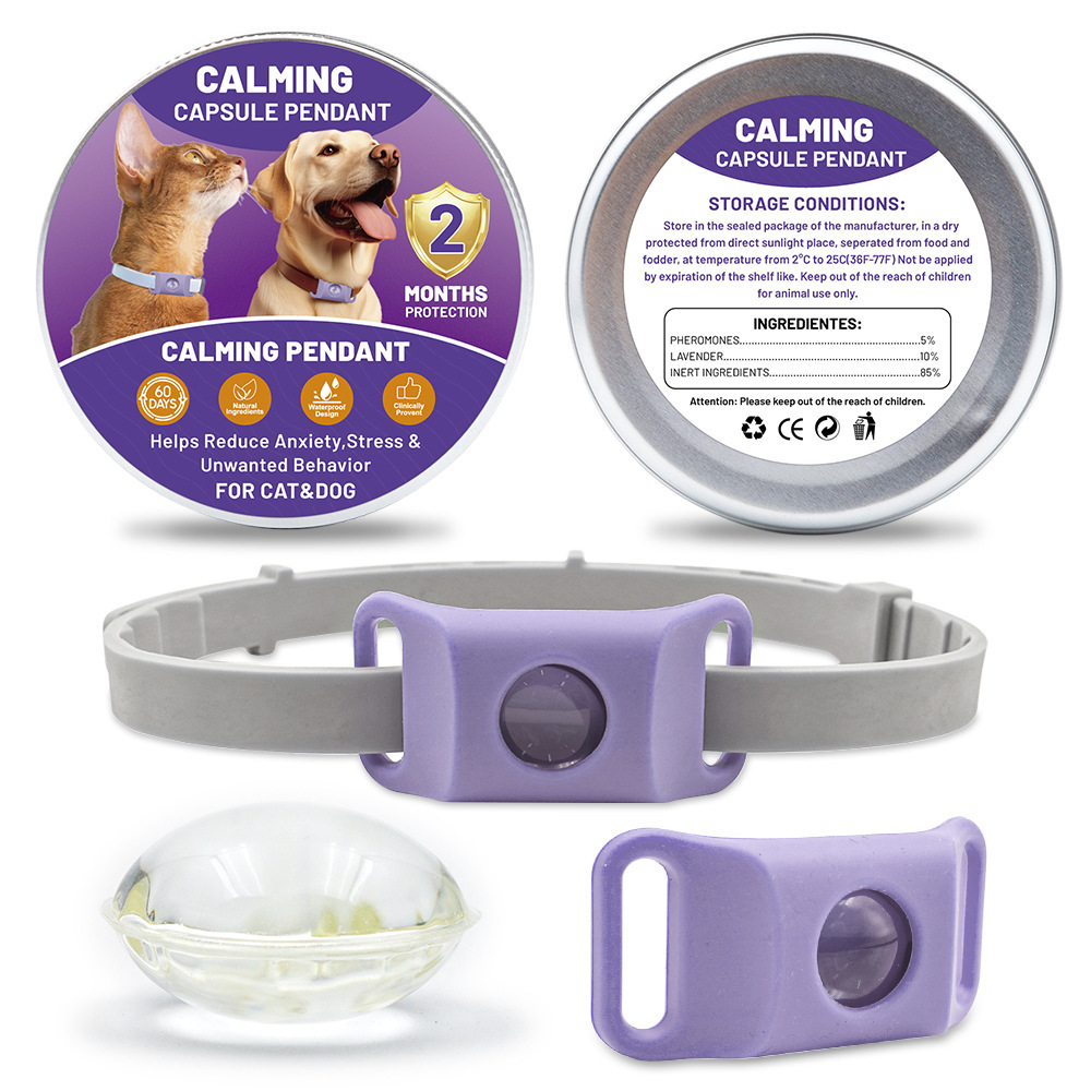 Violet 1 boucle 2 capsule 1 anneau chien silicone