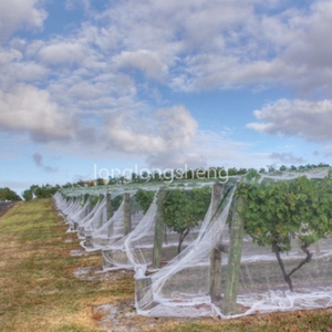 HDPE Vineyard Side Net für Trauben gegen Vögel und Wildtiere Trauben schutz netz