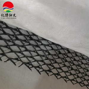 HDPE <strong>Mesh</strong> 3D Composite Drainage Land <strong>Mesh</strong> Outdoor <strong>Plastic</strong> Material For Dam Garden Park School Greening <strong>Erosion</strong> <strong>Control</strong> - Product Image 6